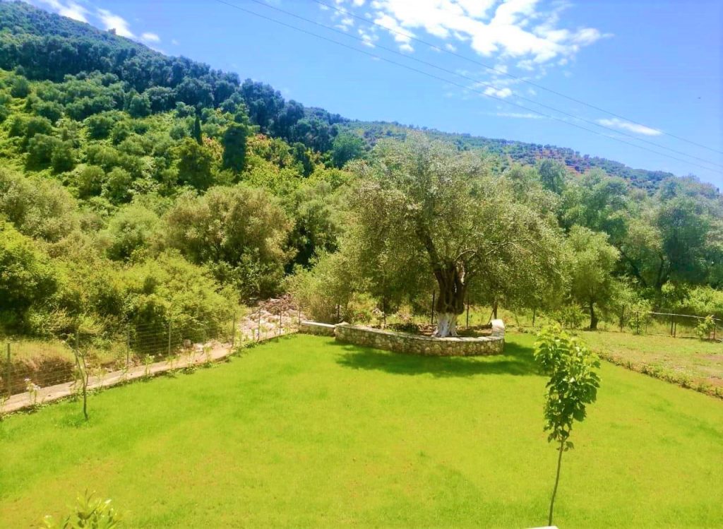 Κηπος 2
